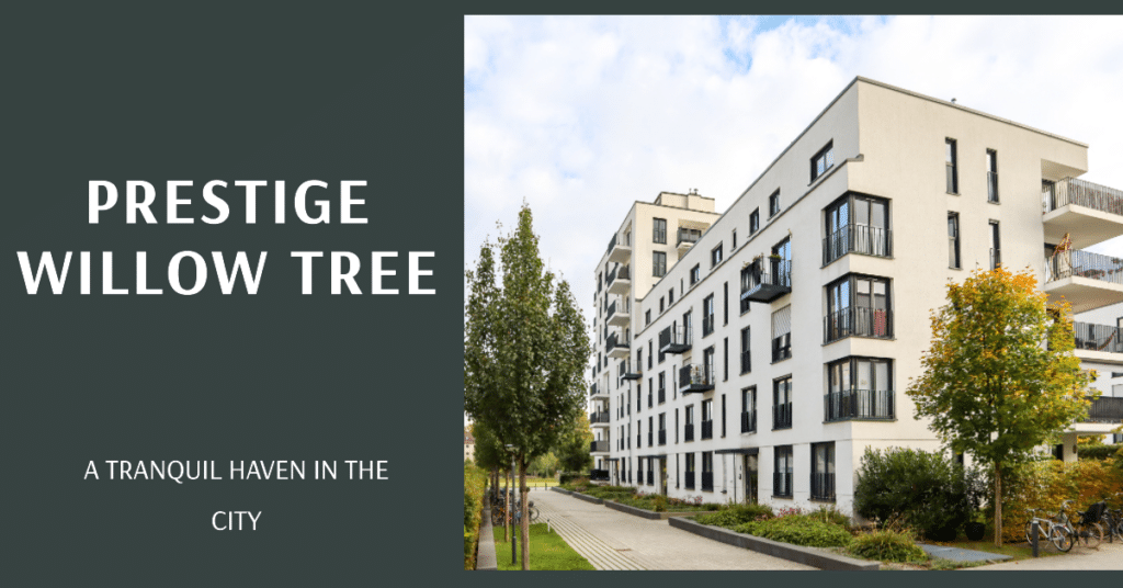Prestige Willow Tree: A Tranquil Haven in the Heart of the City