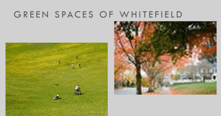 Green Living: Parks and Recreational Spaces in Whitefield, Bangalore